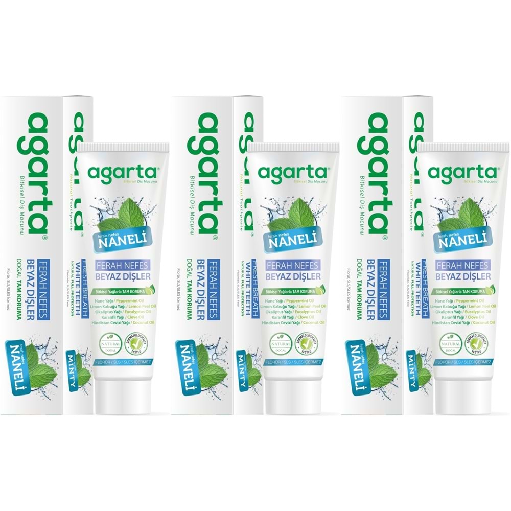 Agarta Doğal Diş Macunu 100ML Naneli (3 Lü Set)