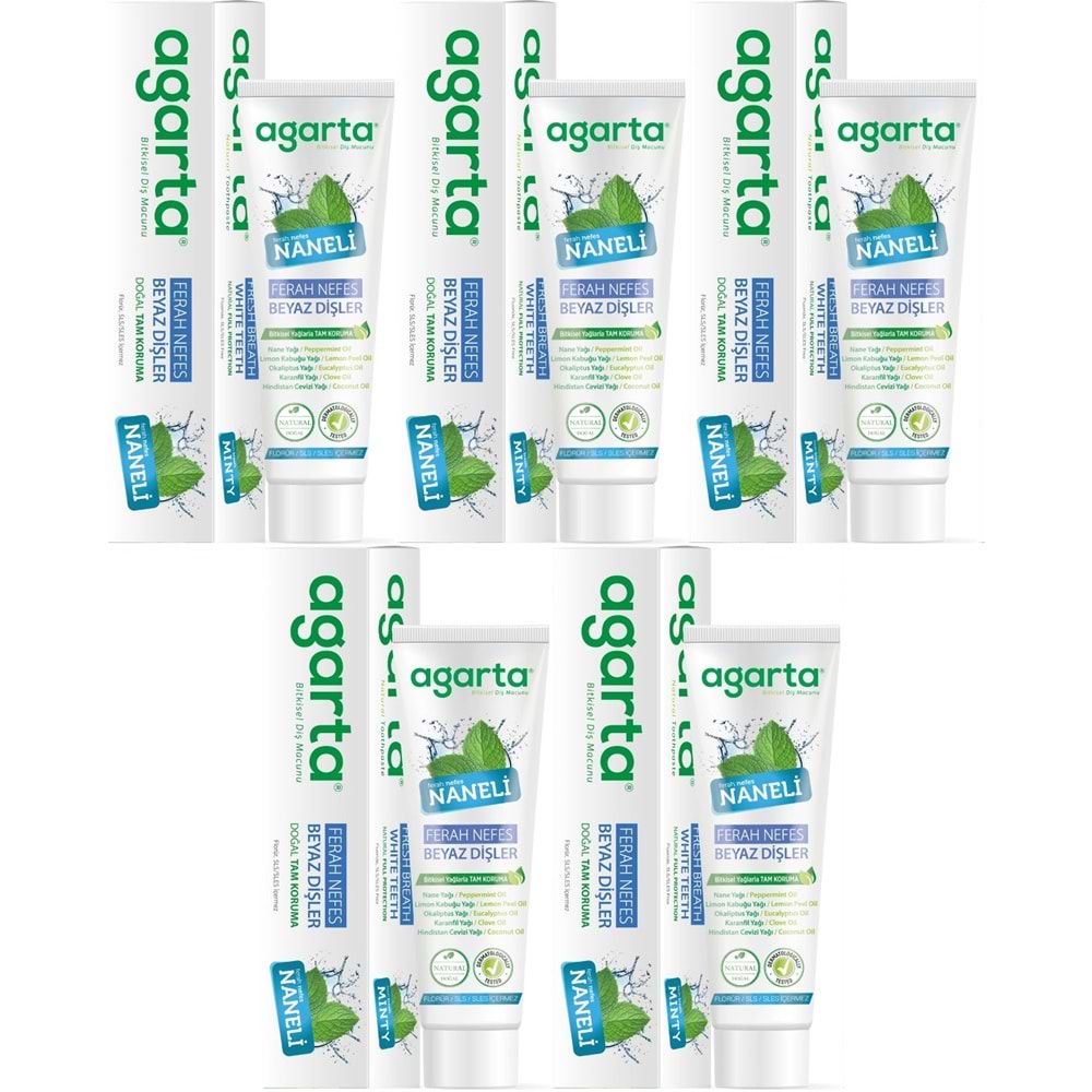 Agarta Doğal Diş Macunu 100ML Naneli (5 Li Set)