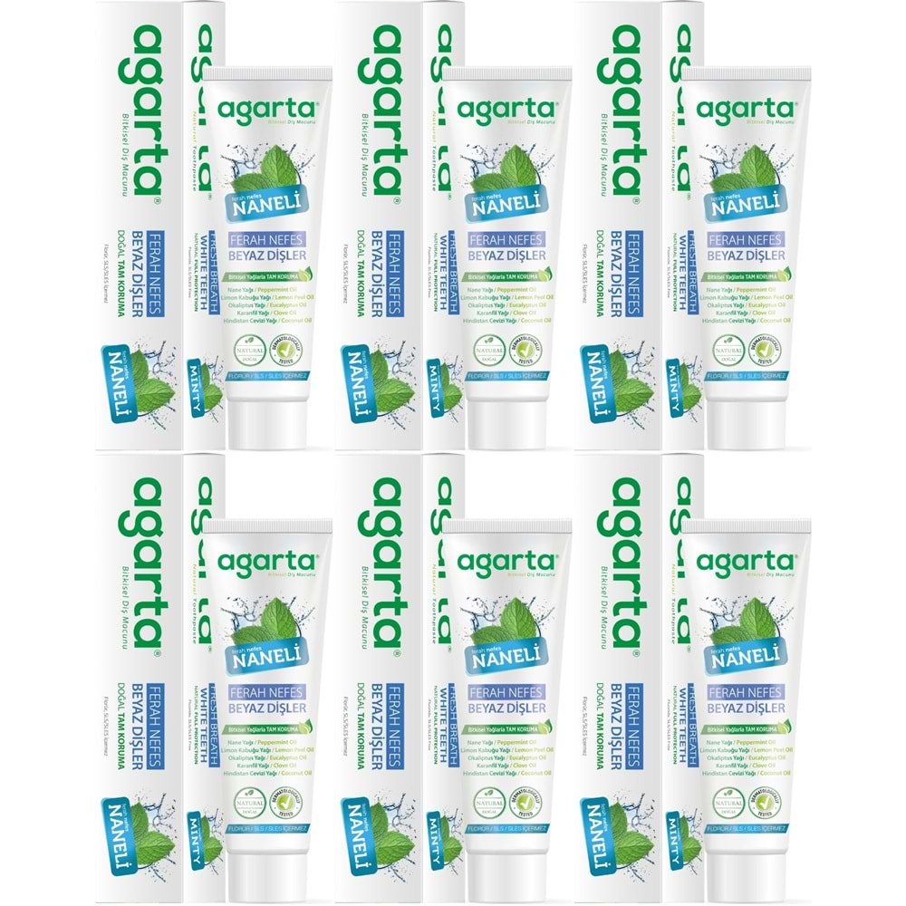 Agarta Doğal Diş Macunu 100ML Naneli (6 Lı Set)