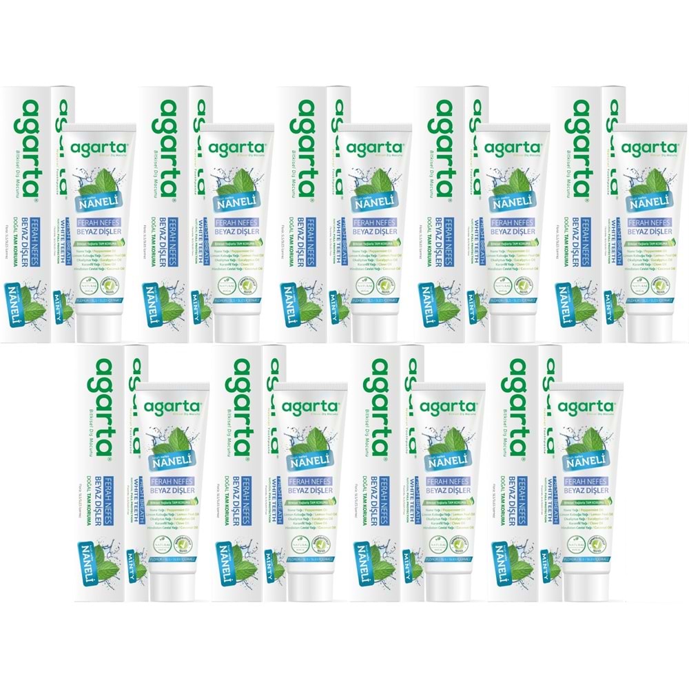 Agarta Doğal Diş Macunu 100ML Naneli (9 Lu Set)