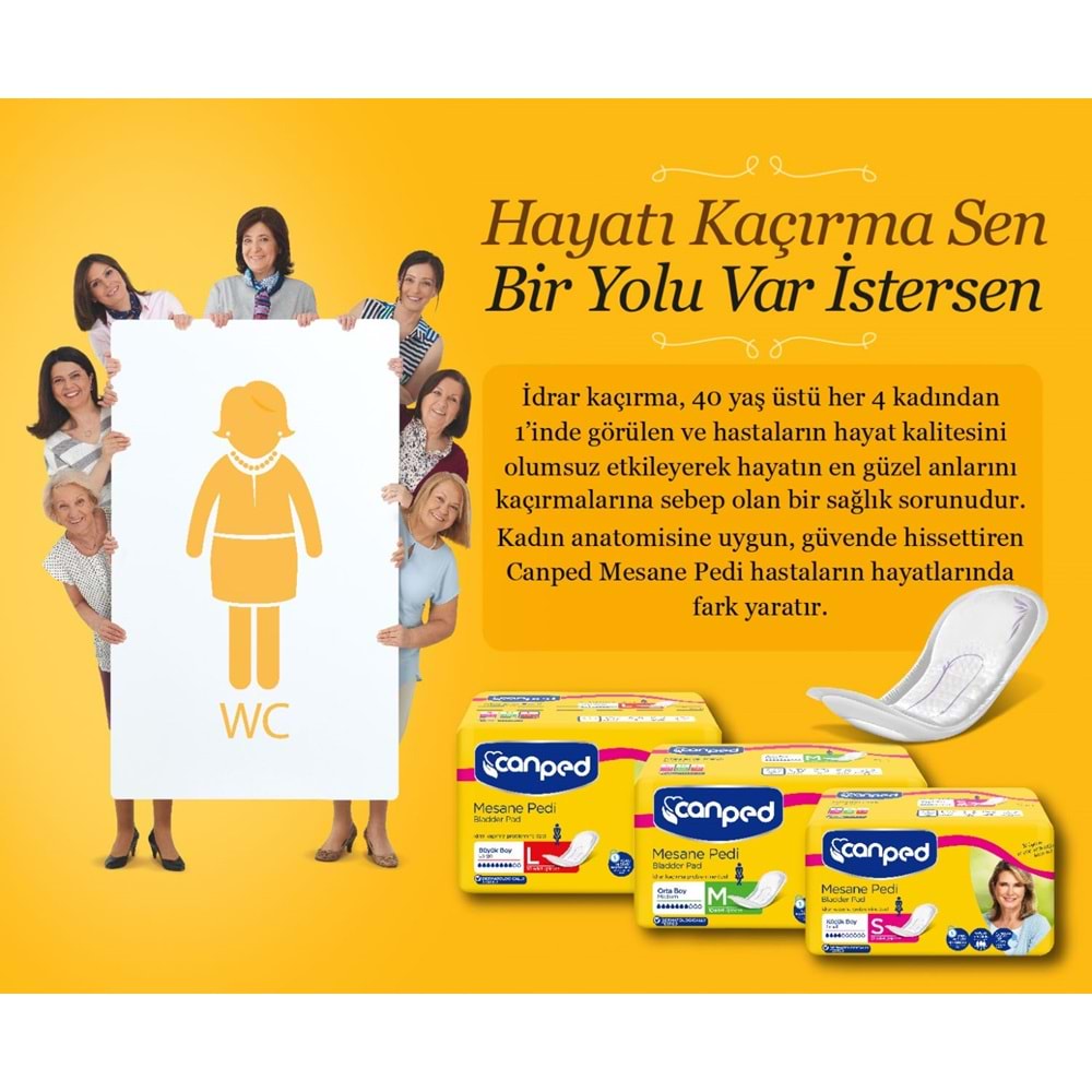 Canped Mesane Pedi Klasik L - Large - Büyük Boy 120 Adet