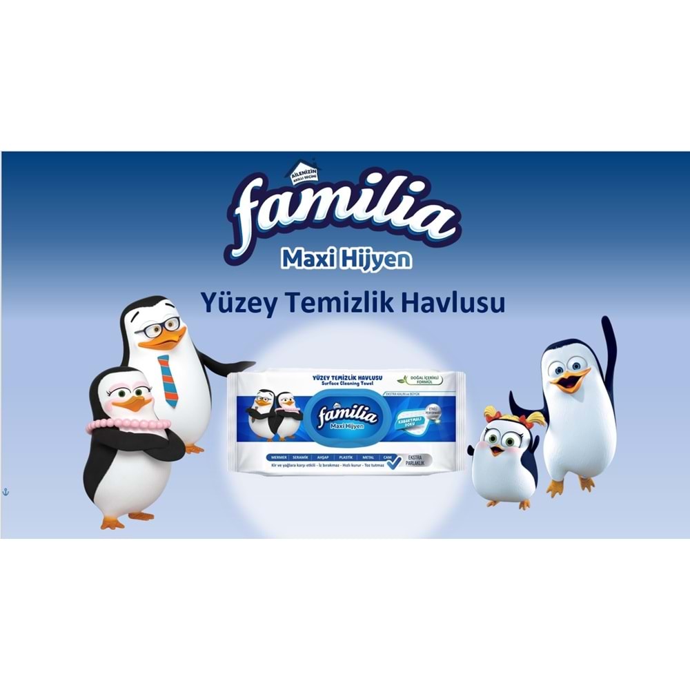 Familia Yüzey Temizlik Havlusu 96 Yaprak Maxi Hijyen Kabartma Doku Plastik Kapaklı 4 Lü Set 384 Yprk