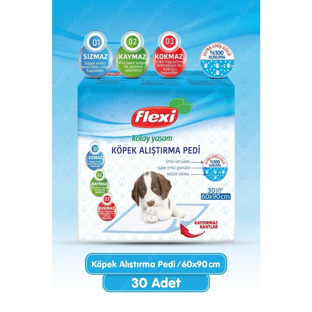 Flexi Evcil Hayvan Köpek Alıştırma Tuvalet Eğitim Pedi 60*90 CM 90 Adet