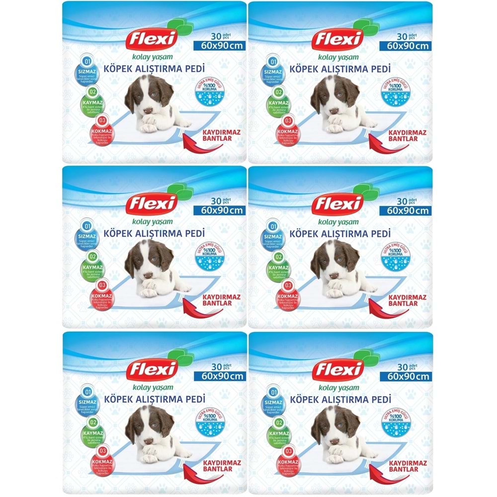 Flexi Evcil Hayvan Köpek Alıştırma Tuvalet Eğitim Pedi 60*90 CM 180 Adet