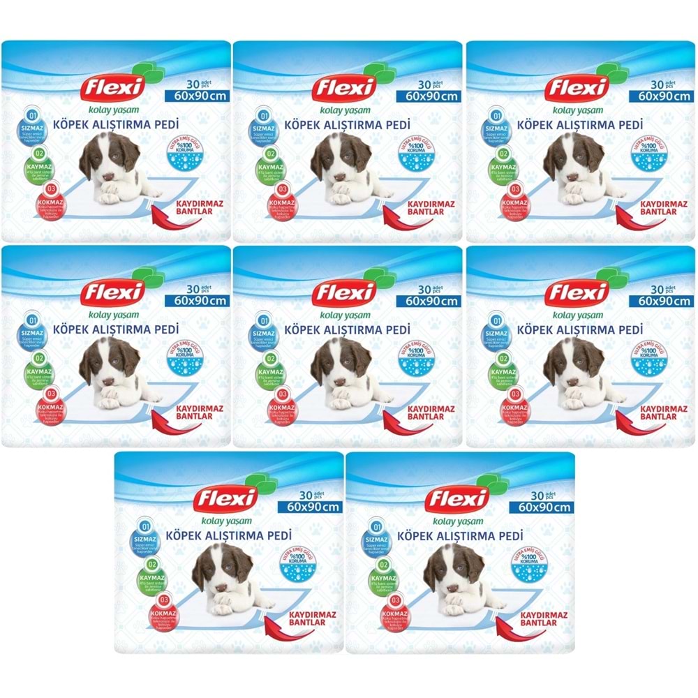 Flexi Evcil Hayvan Köpek Alıştırma Tuvalet Eğitim Pedi 60*90 CM 240 Adet