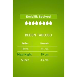 Tena Lady Protect Mesane Pedi Maxi Night Geceye Özel 12 Adet