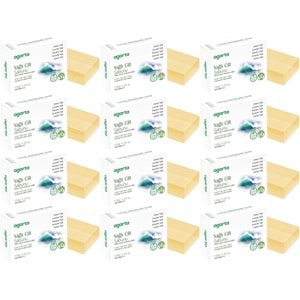 Agarta El Yapımı Doğal Sabun 150GR Yağlı Cilt (12 Li Set)