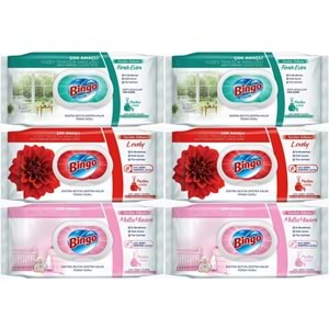 Bingo Clean Yüzey Temizlik Havlusu (Karma 6 Lı Set) (Ferah Evim - Lovely - Mutlu Yuvam) 576 Yaprak