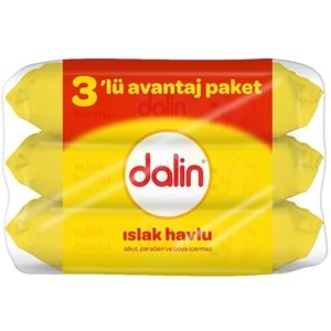 Dalin Islak Havlu Mendil Klasik 56 Yaprak 24 Lü Set (1344 Yaprak)