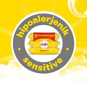 Dalin Islak Havlu Mendil Klasik 56 Yaprak 24 Lü Set (1344 Yaprak)