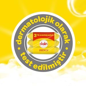Dalin Islak Havlu Mendil Klasik 56 Yaprak 24 Lü Set (1344 Yaprak)