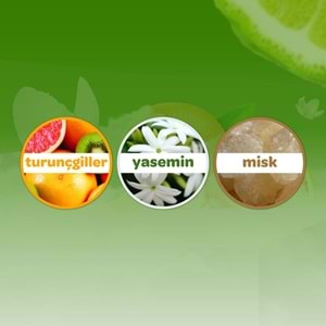 Dalin Bebek Kolonyası 150ML Orman Esintisi (Turunçgiller-Yasemin-Misk Kokulu) (9 Lu Set)