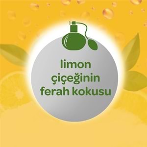 Dalin Bebek Kolonyası 150ML Limon Çiçeği (Limon-Bergomat-Papatya) (48 Li Set)
