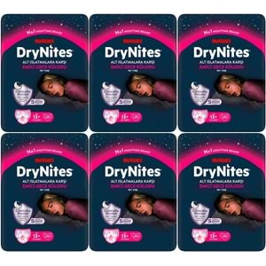 Drynites Emici Gece Külodu/Külot Bez Kız 13+ Yaş (48-60KG) X Large 120 Adet Mega Pk (6PK*20)