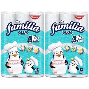 Familia Kağıt Havlu Plus 24 Lü Pk (3 Katlı) (2PK*12)
