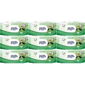 Familia Islak Havlu Mendil Yeşilin Tazeliği 90 Yaprak Plastik Kapaklı 9 Lu Set 810 Yaprak