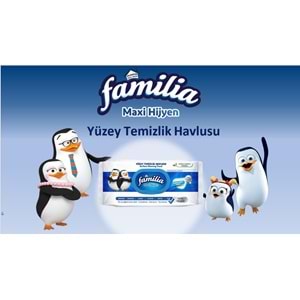 Familia Yüzey Temizlik Havlusu 96 Yaprak Maxi Hijyen Kabartma Doku Plastik Kapaklı 4 Lü Set 384 Yprk