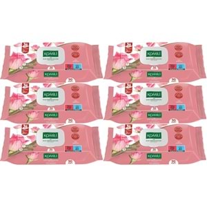 Komili Islak Havlu Mendil 90 Yaprak Gül Kokulu (6 Lı Set) Pratik Kapaklı (540 Yaprak)