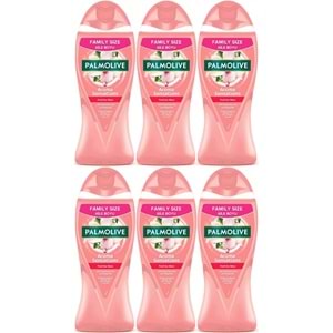 Palmolive Duş Jeli 750ML Aroma Sensations/Aroma Duyguları (6 Lı Set)