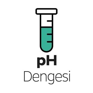 Sleepy Islak Havlu Mendil Bio Natural 40 Yaprak Yeni Doğan (6 Lı Set) Plastik Kapaklı 240 Yaprak