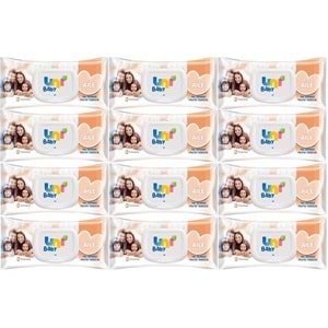 Uni Baby Islak Havlu Mendil 90 Yaprak Aile (12 Li Set) 1080 Yaprak Plastik Kapaklı