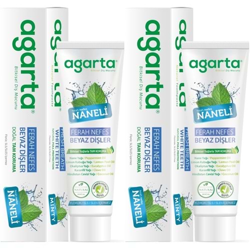 Agarta Doğal Diş Macunu 100ML Naneli (2 Li Set)