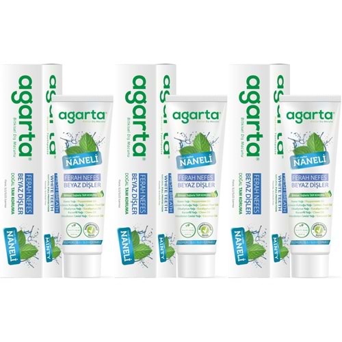 Agarta Doğal Diş Macunu 100ML Naneli (3 Lü Set)