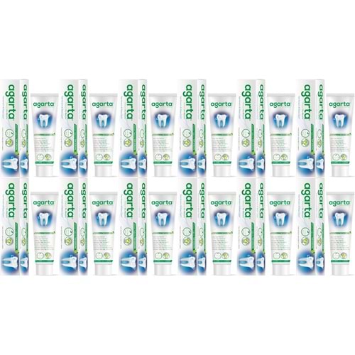 Agarta Doğal Diş Macunu 100ML Bitki Özlü (12 Li Set)