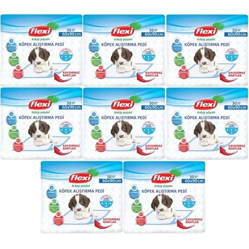 Flexi Evcil Hayvan Köpek Alıştırma Tuvalet Eğitim Pedi 60*90 CM 240 Adet
