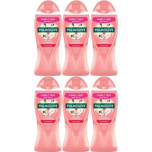 Palmolive Duş Jeli 750ML Aroma Sensations/Aroma Duyguları (6 Lı Set)