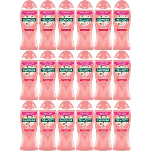 Palmolive Duş Jeli 750ML Aroma Sensations/Aroma Duyguları (18 Li Set)
