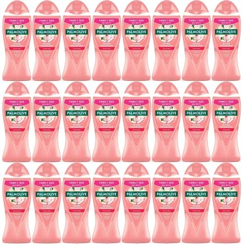 Palmolive Duş Jeli 750ML Aroma Sensations/Aroma Duyguları (24 Lü Set)