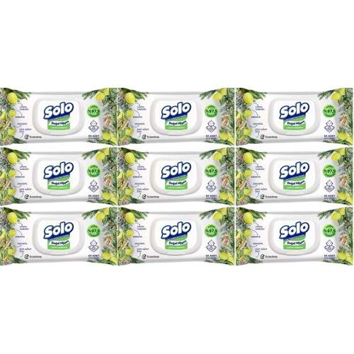 Solo Islak Havlu Mendil 50 Yaprak Limon & Biberiye (9 Lu Set) (3PK*3) 450 Yaprak