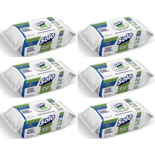 Solo Yüzey Temizlik Havlusu - Mendili 100 Yaprak Okaliptus & Çam Esintisi (6 Lı Set) 600 Yaprak