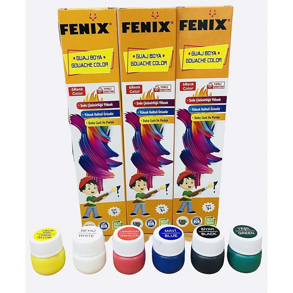 GUAJ BOYA 6 LI ŞİŞE FN101 FENİX